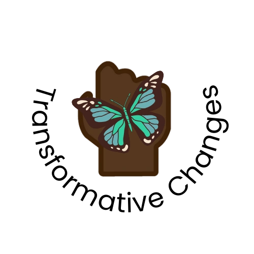 Transformative Changes logo mark